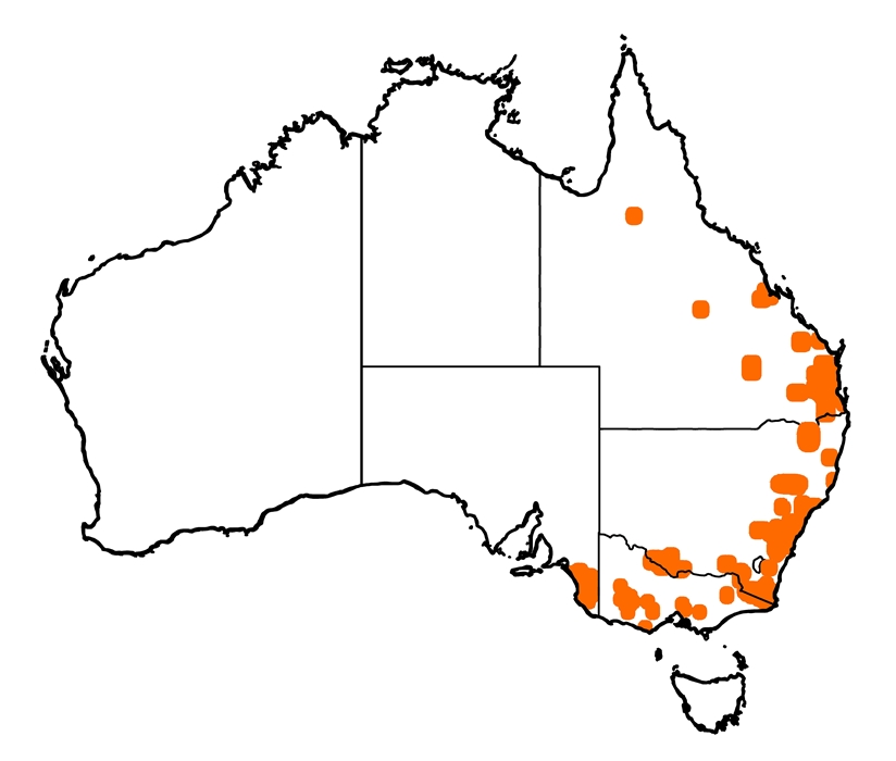 DeerScan > Red deer in Australia